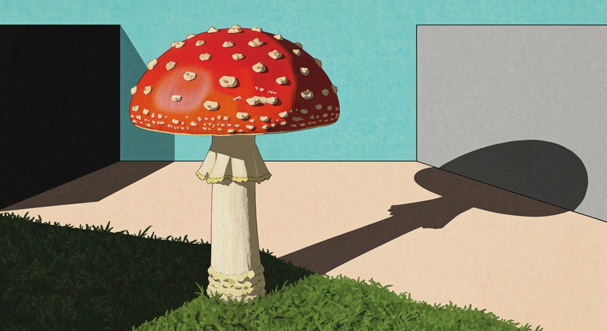 Amanita Muscaria's Rich History
