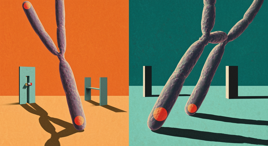 Telomeres The Secrets of Cellular Aging