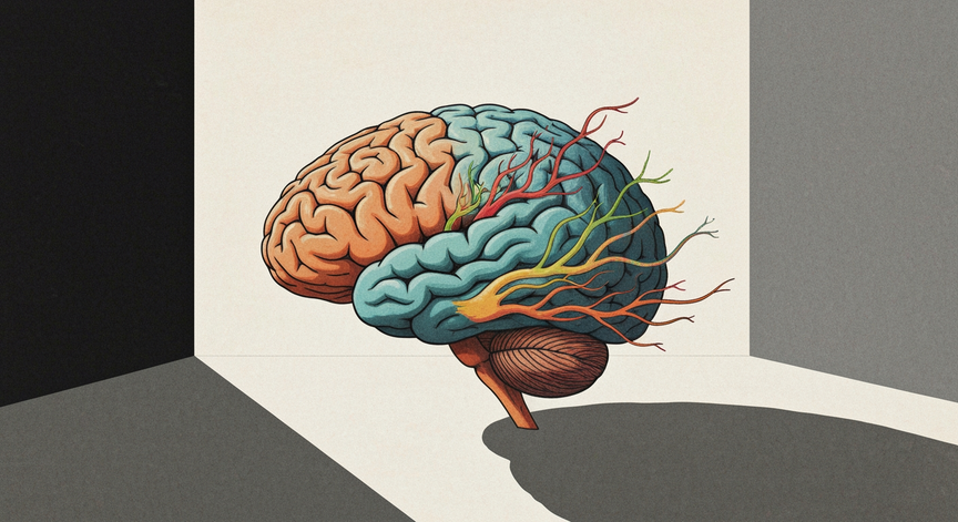 Neuroaesthetics The Science of Beauty