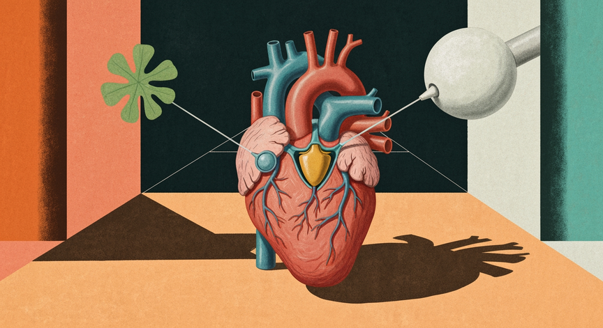 Understanding TAVR Surgery