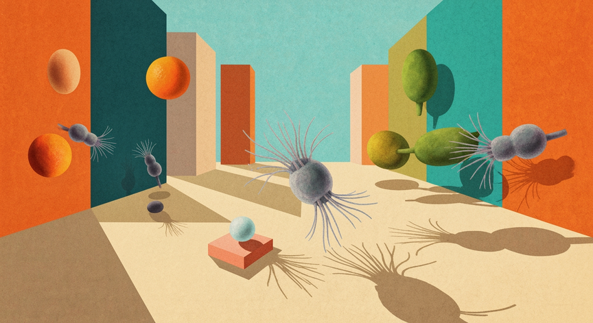 The World of Viruses