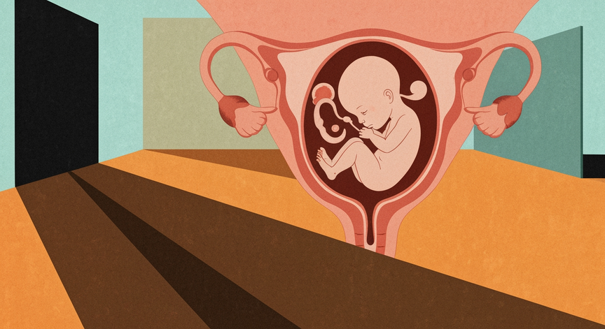 Human Pregnancy Explained