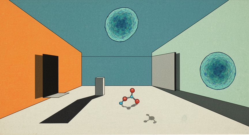 Reticulocyte Maturation and Peptide Effects