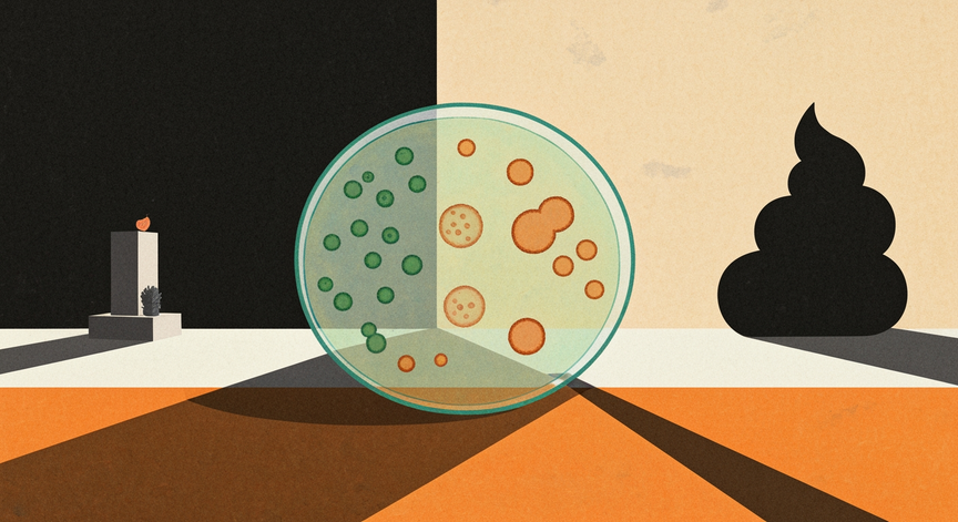 The Fascinating World of Feces