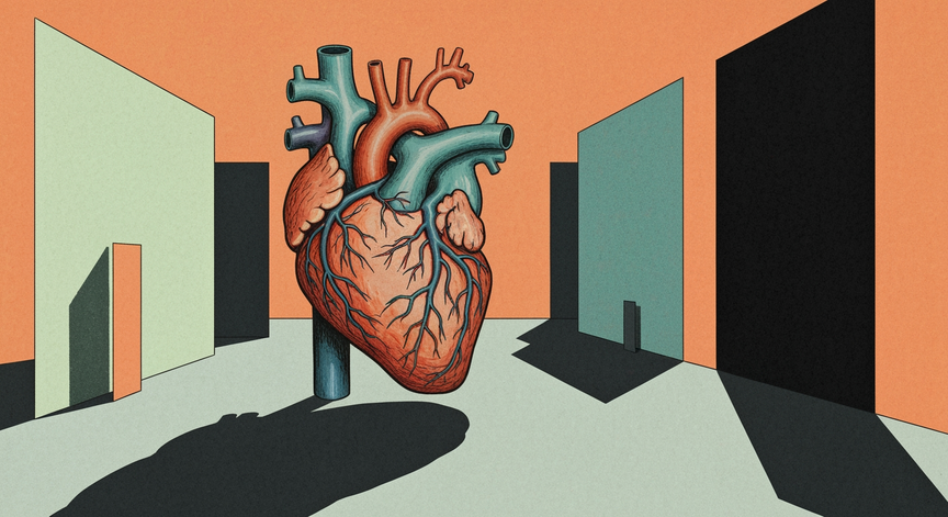 The Circulatory System Explained