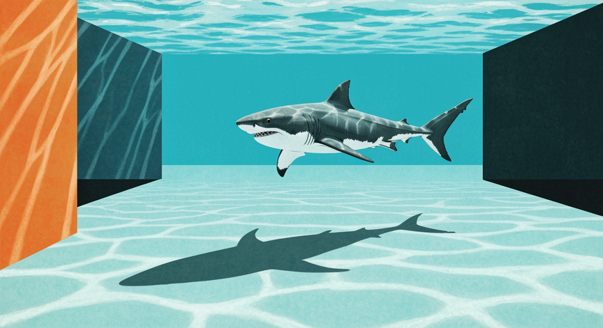Sharks: Ocean Predators