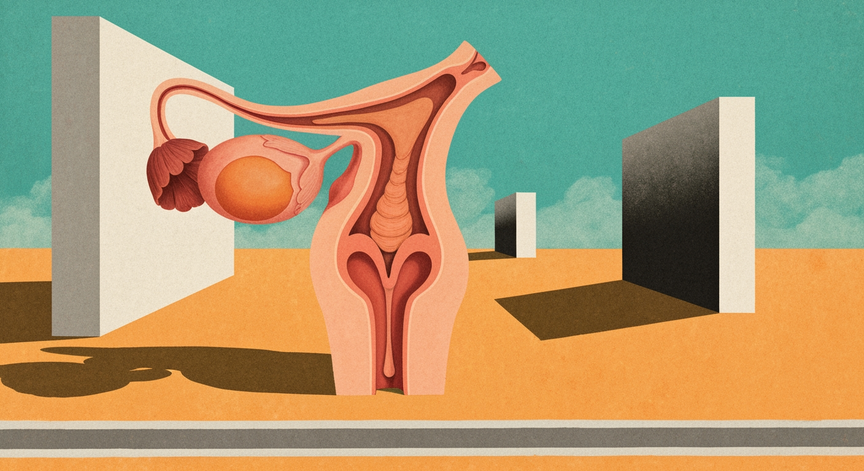 The Vagina Explained
