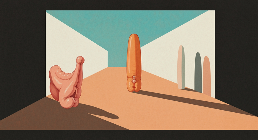 The Human Penis Explained