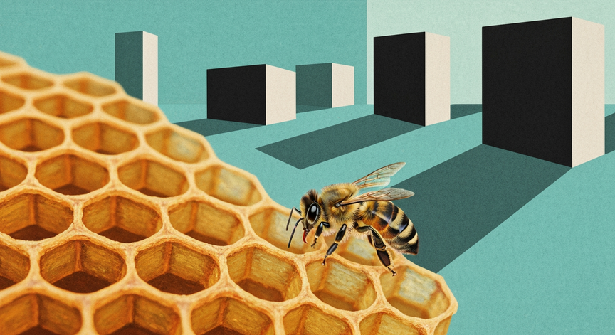 Introduction to Beekeeping