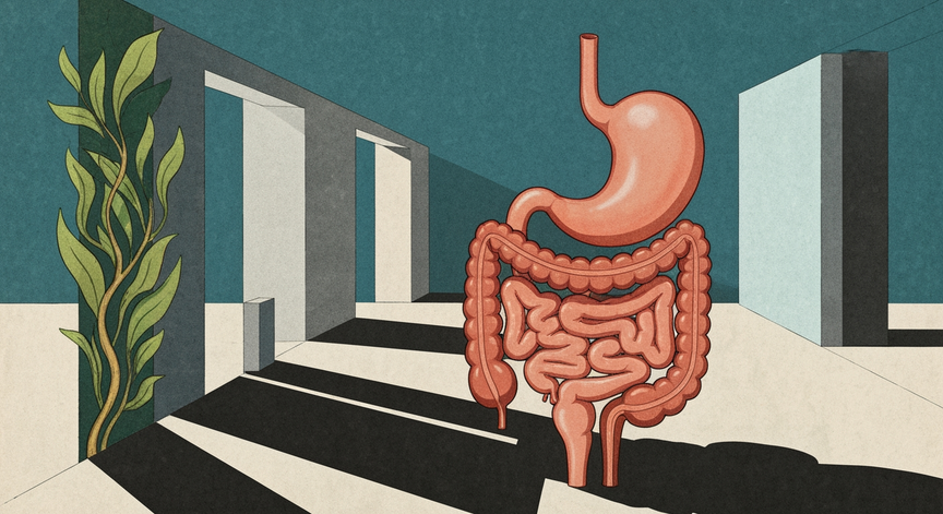 Human Digestion and Nutrition