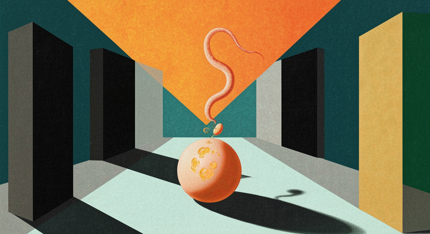 Human Conception and Gestation