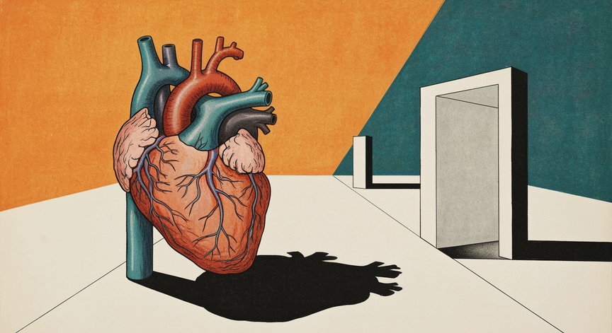 Cardiovascular Anatomy Essentials