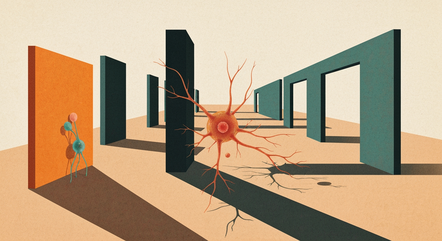 Neuron Structure and Function