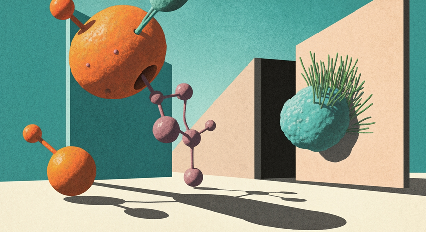 Bioinformatics and Heat Shock Proteins