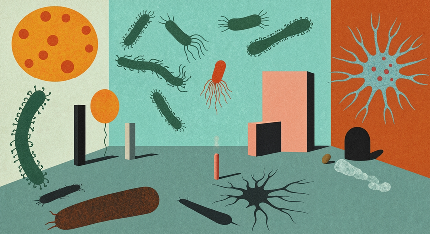 Gut Microbiota and Parkinson's Disease