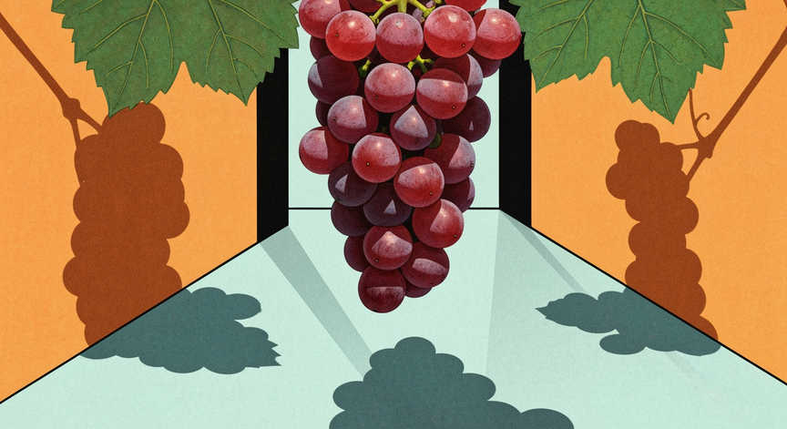 From Grape to Glass The Wine Making Process