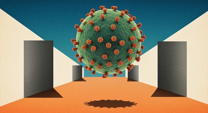 The Dengue Virus Explained