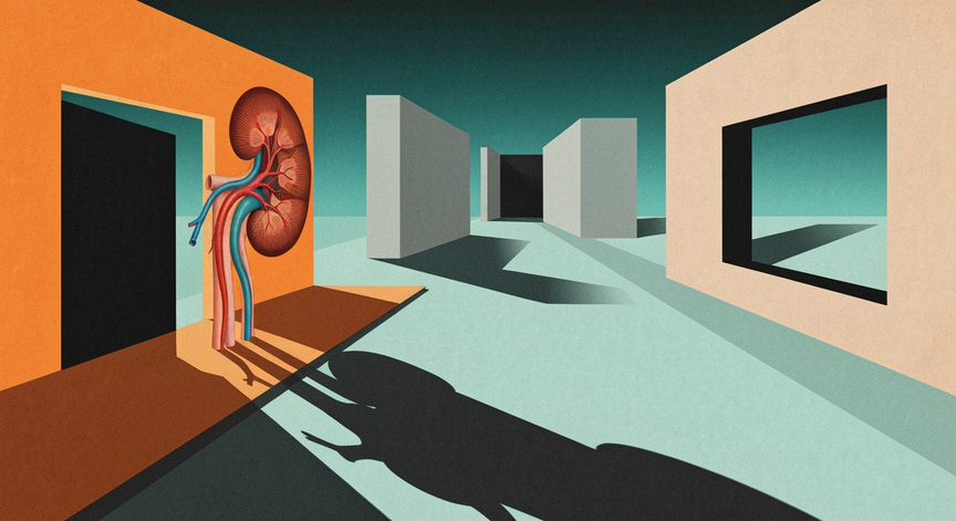 Pediatric Kidney Transplantation Essentials