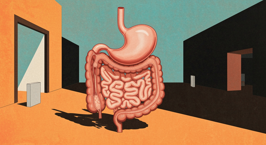The Digestive Journey