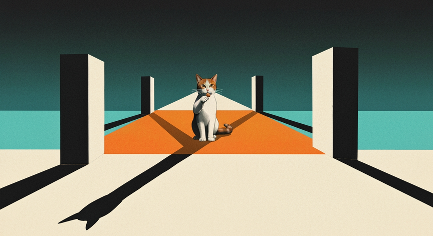 Cat Training Essentials