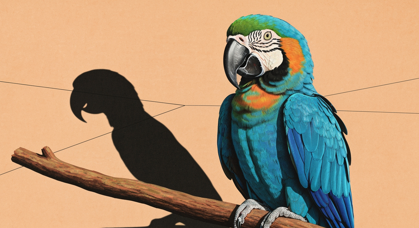 The Lear's Macaw