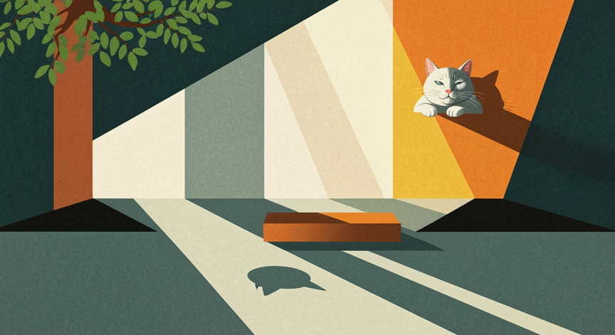 Mastering Cat Care