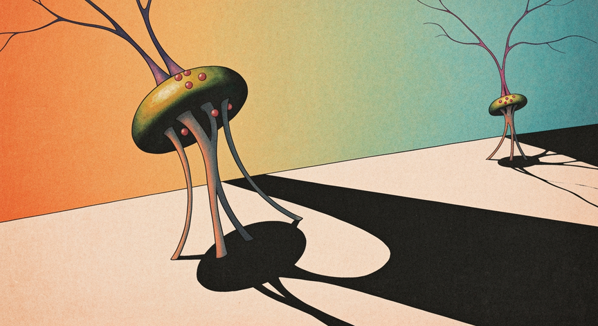 Synaptic Transmission Explained