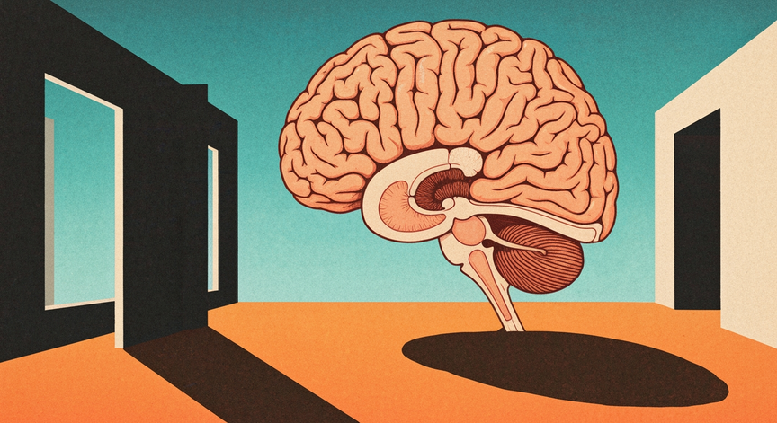 The Human Brain Unveiled