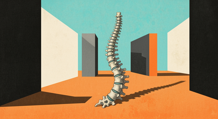 Understanding and Rehabilitating Disk Herniations