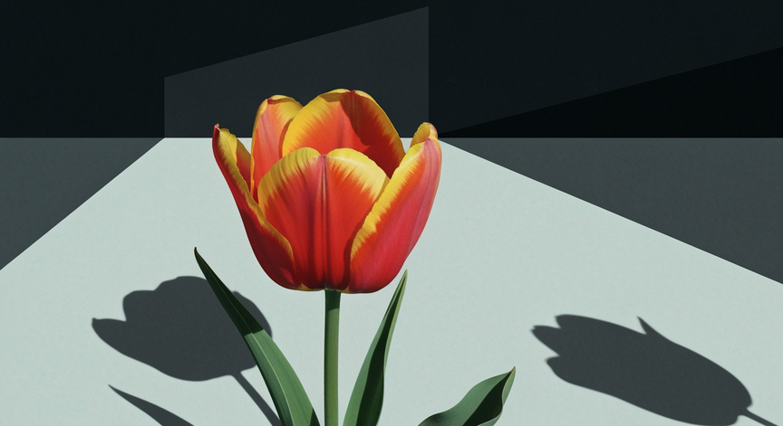 The Modern Tulip Trade