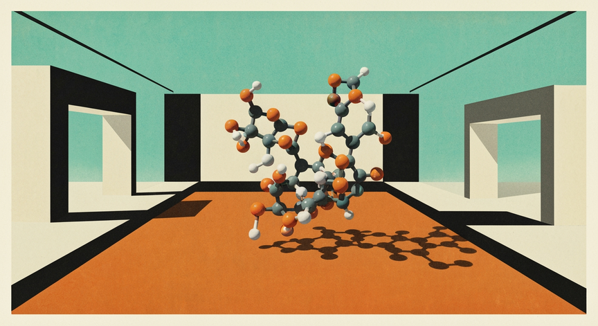 Rapamycin and Longevity