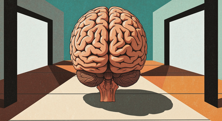 The Cerebral Cortex Explained
