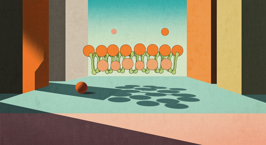 Lipids: Structure Function and Roles