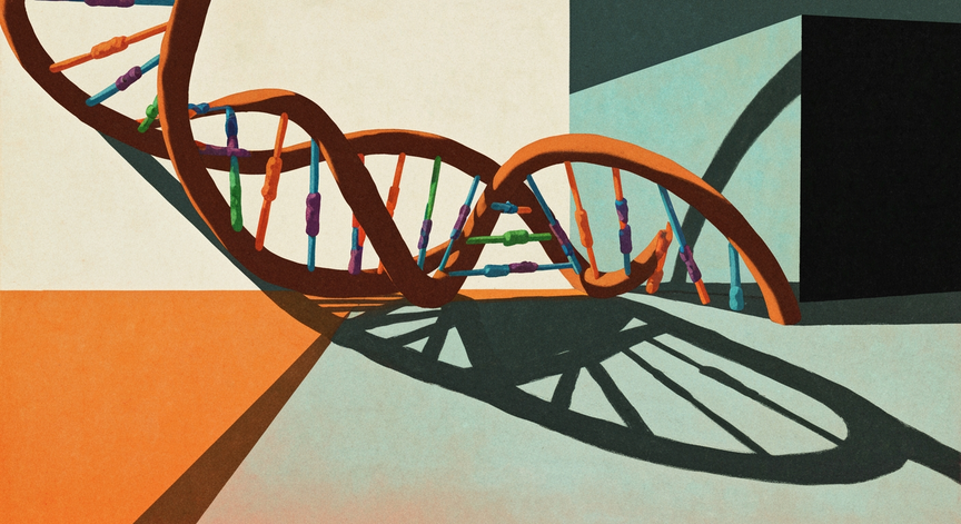 The Building Blocks of Life Nucleic Acids