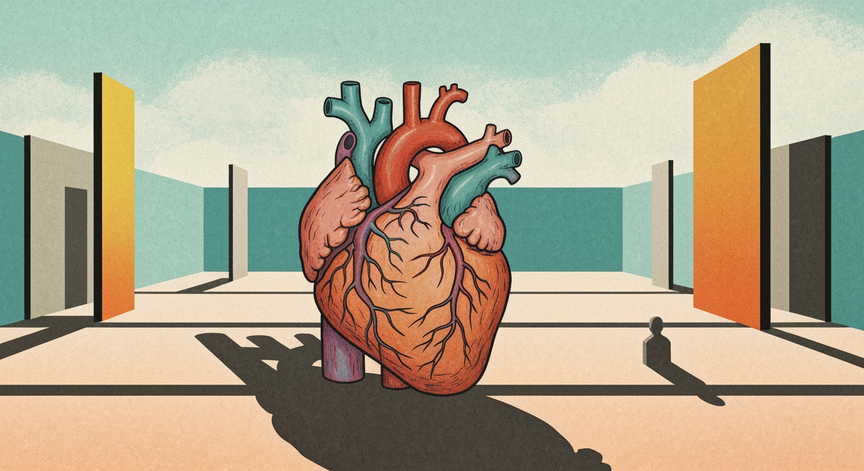 Integration with Other Body Systems - The Circulatory System Explained ...