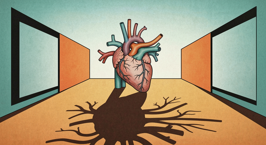 The Circulatory System Explained