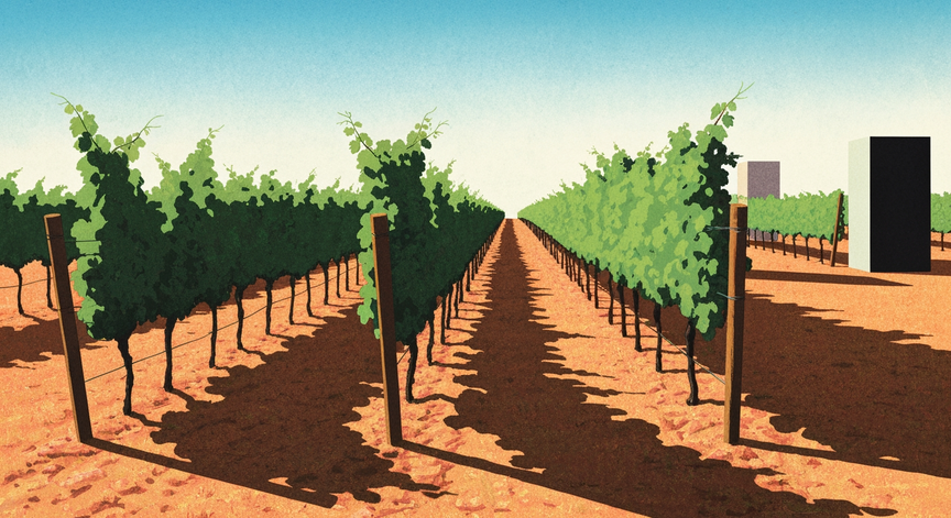 Modern Wine Exploration