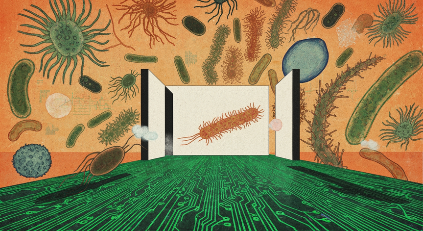 Bioinformatics for a Sustainable Future