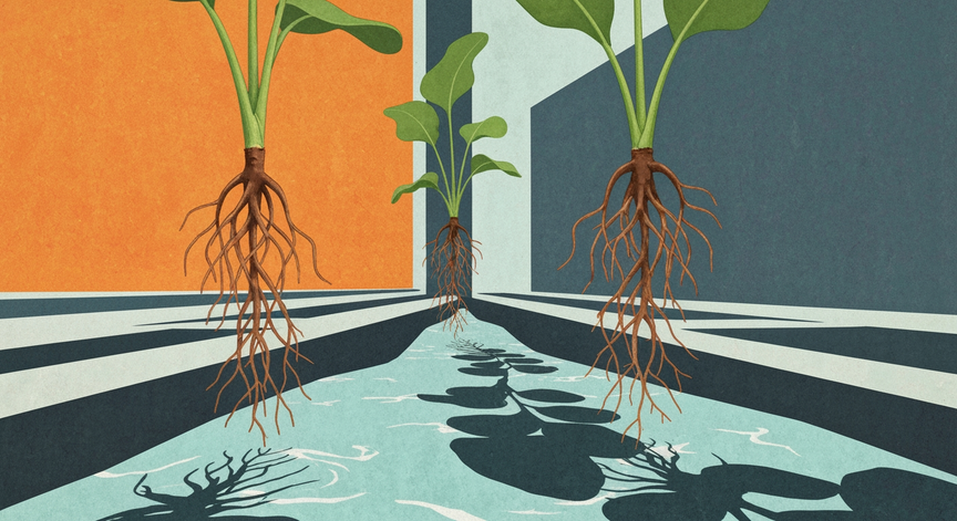Hydroponics NFT Explained
