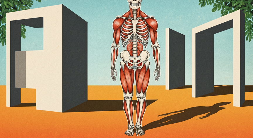 Anatomy Basics