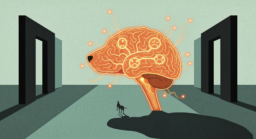 Canine Neuroethology and Cognitive-Emotional Education