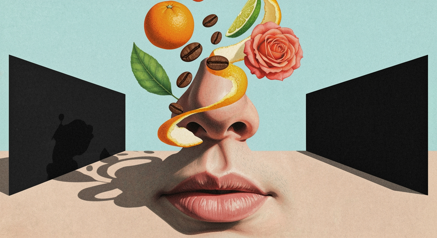 Sharpen Your Sense of Smell
