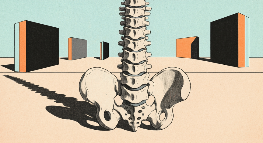 Lower Back Pain Explained