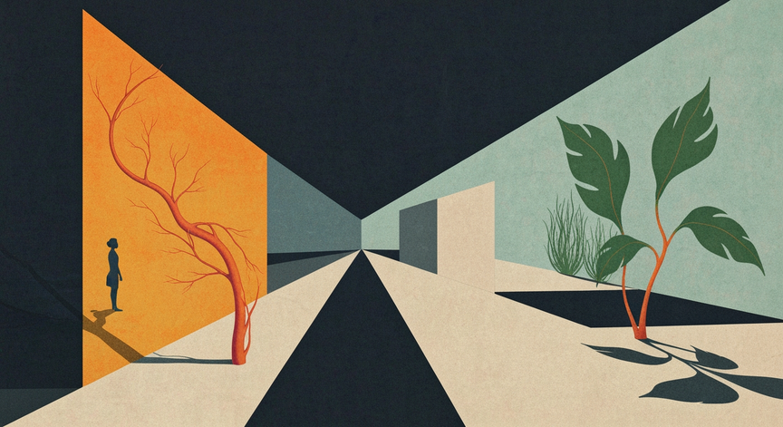 Autonomic Nervous System and the Vagus Nerve