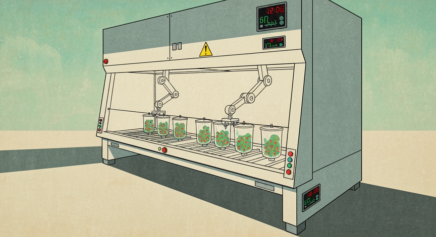 Cell Therapy Aseptic Process Simulation