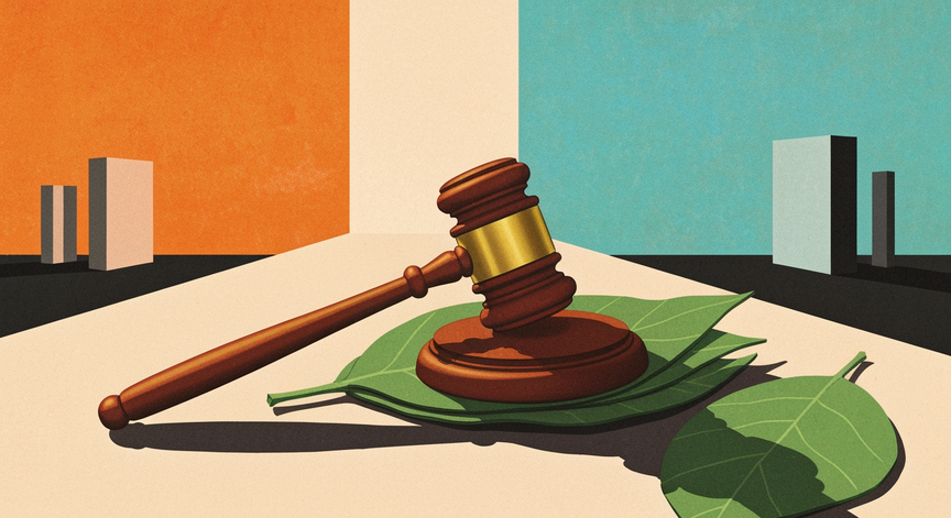 Duty of Care and Green Industry Law