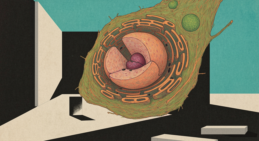 Cellular Biology Essentials