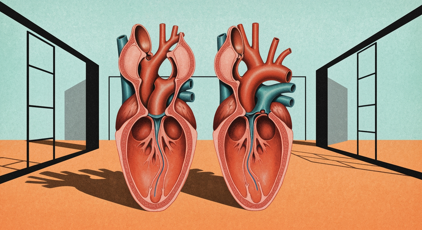 Heart Valve Dynamics