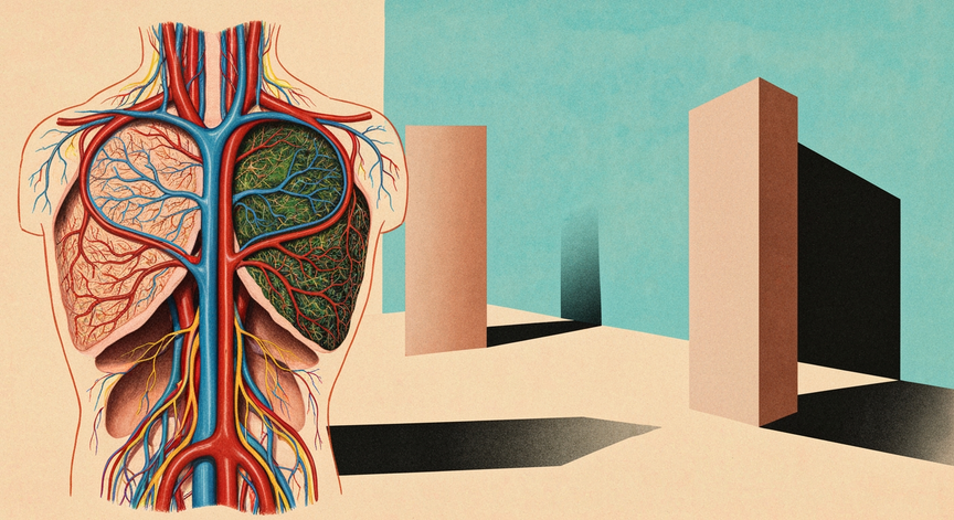 Advanced Human Anatomy Systems