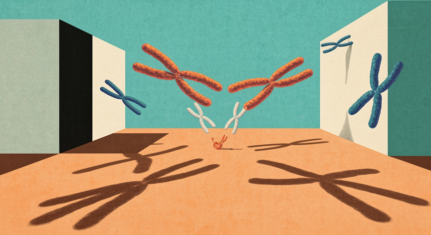 Meiosis and Genetic Diversity